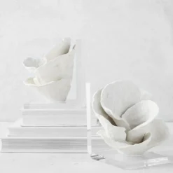 Z Gallerie Coral Bookends> Home Decor | Décor Sale