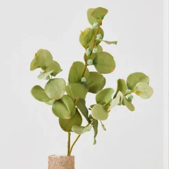 Z Gallerie Eucalyptus Spray - Set of 3><noscript><img width=