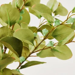 Z Gallerie Eucalyptus Spray - Set of 3><noscript><img width=