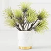 Z Gallerie Faux Aeonium Succulent Pick - Set of 3> Home Decor | Décor Sale