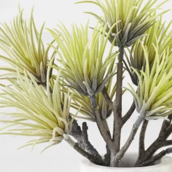Z Gallerie Faux Aeonium Succulent Pick - Set of 3><noscript><img width=