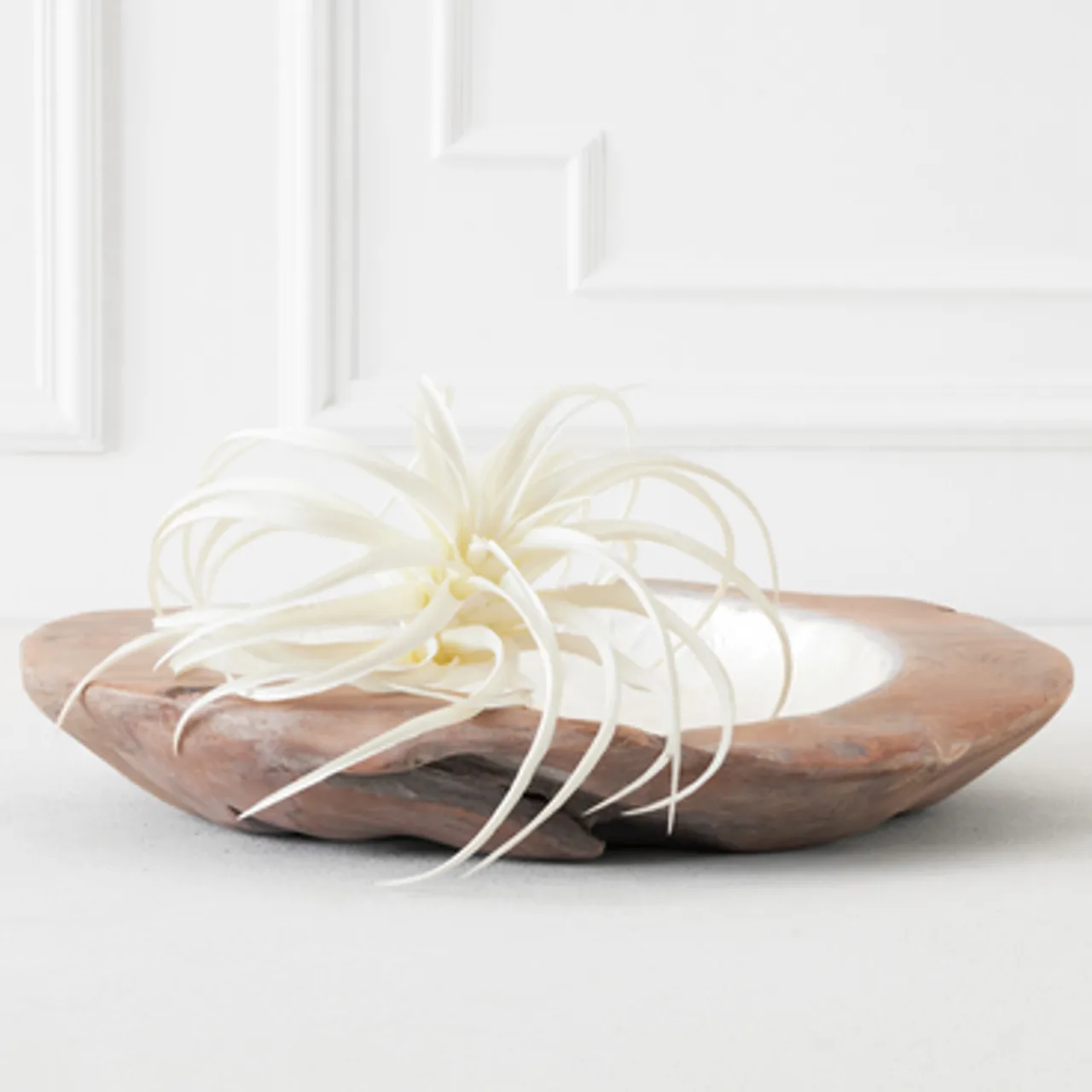 Z Gallerie Faux Air Plant - Set of 3> Home Decor | Décor Sale
