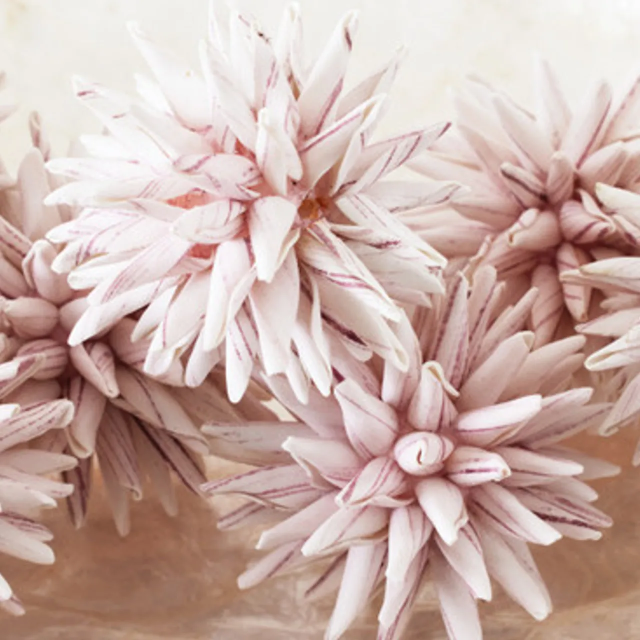 Z Gallerie Faux Allium Sphere - Set of 9> Home Decor | Décor Sale