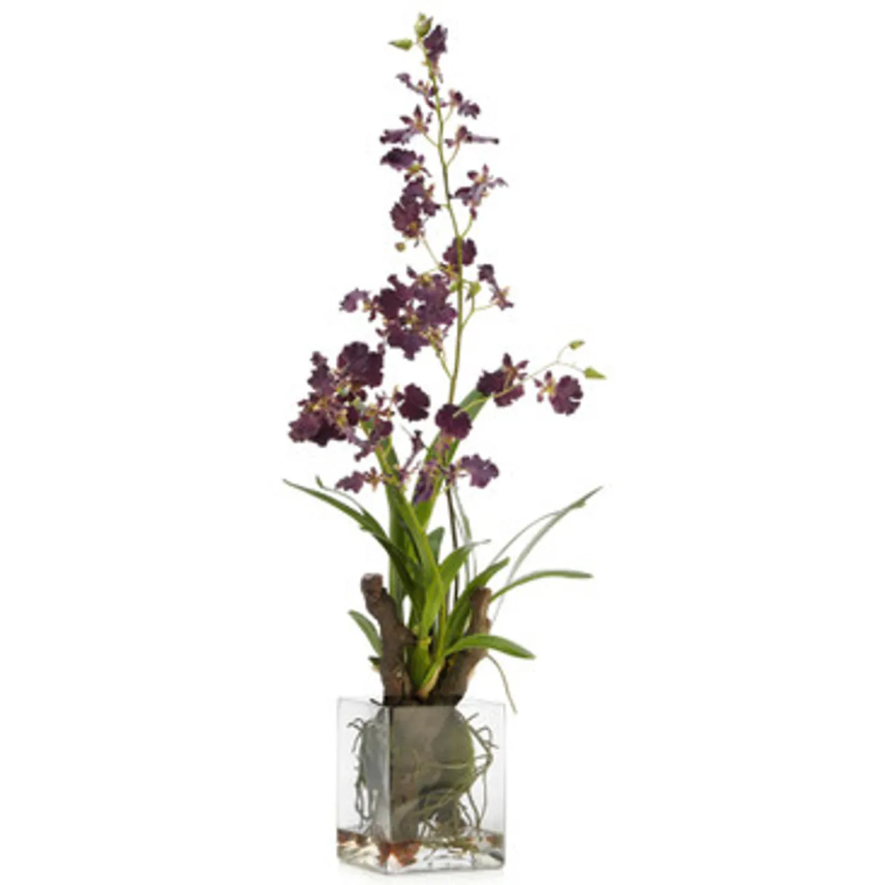 Z Gallerie Faux Oncidium In Glass> Home Decor | Décor Sale