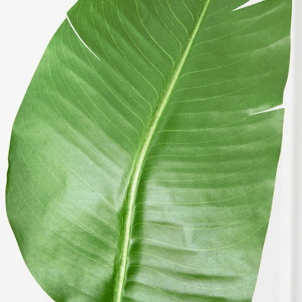 Z Gallerie Faux Palm Tree> Décor Sale | Floral