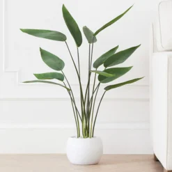 Z Gallerie Faux Potted Water Canna> Home Decor | Décor Sale