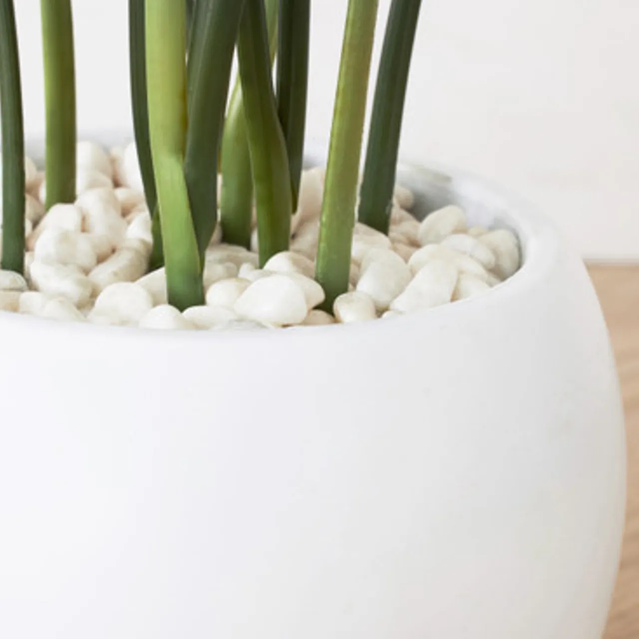 Z Gallerie Faux Potted Water Canna> Home Decor | Décor Sale
