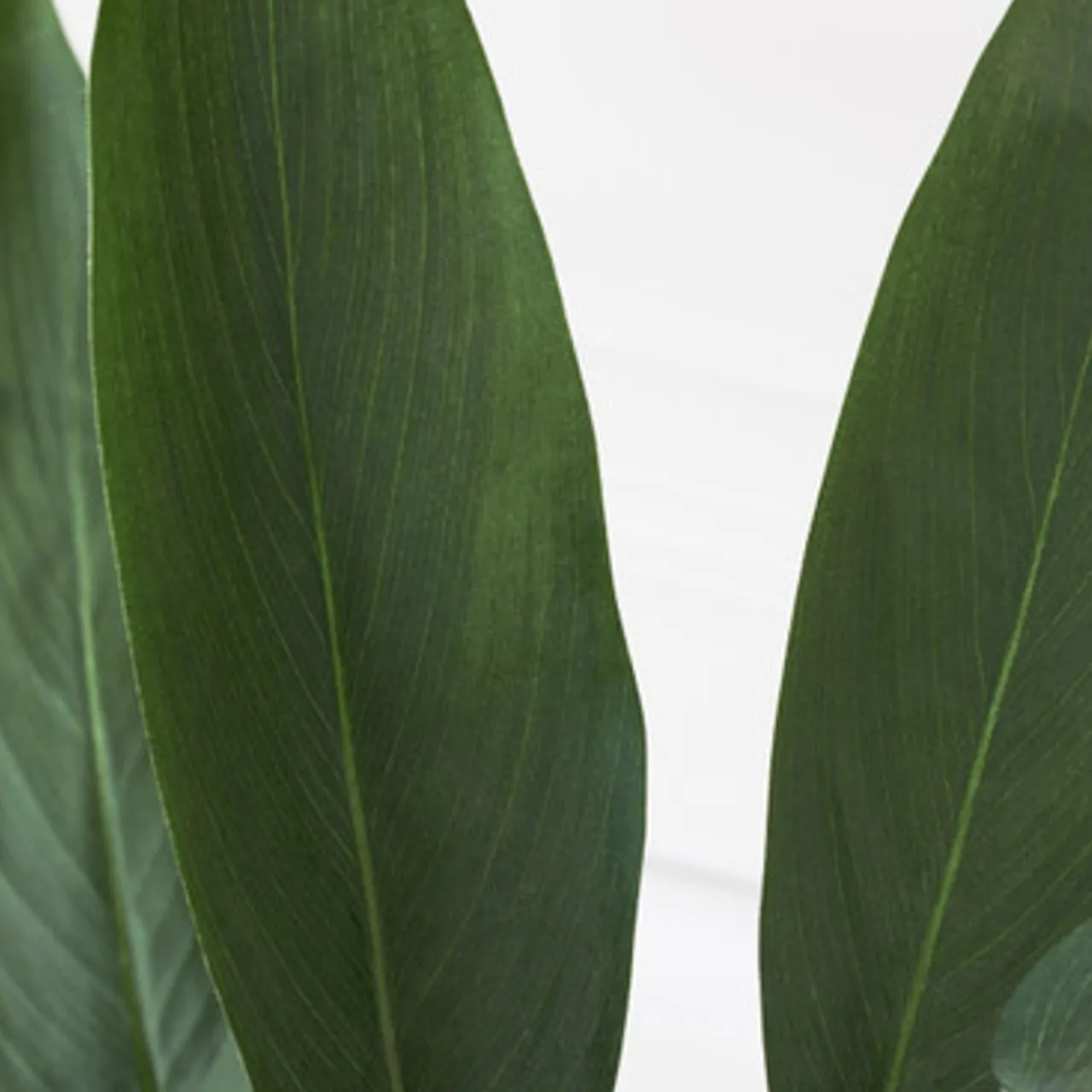 Z Gallerie Faux Potted Water Canna> Home Decor | Décor Sale