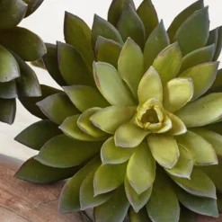 Z Gallerie Faux Thorn Succulent Pick><noscript><img width=