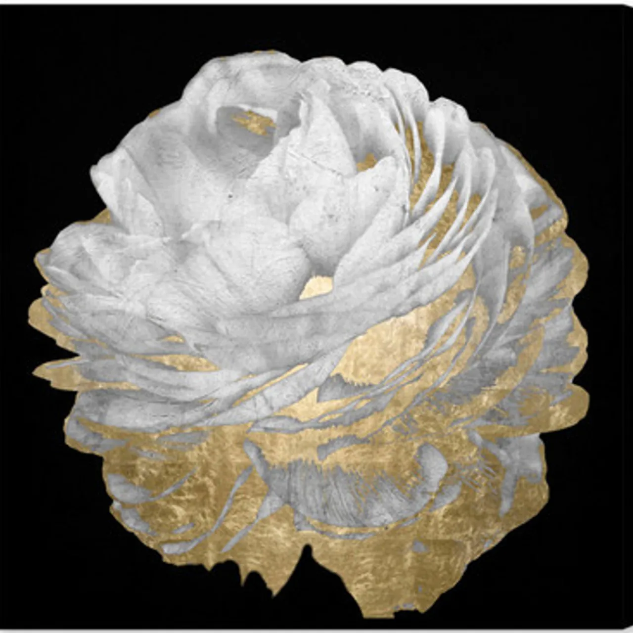 Z Gallerie Gold And White Blossom On Black - Set of 2> Series | Canvas