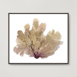 Z Gallerie Golden Seafan> Framed Art | Canvas