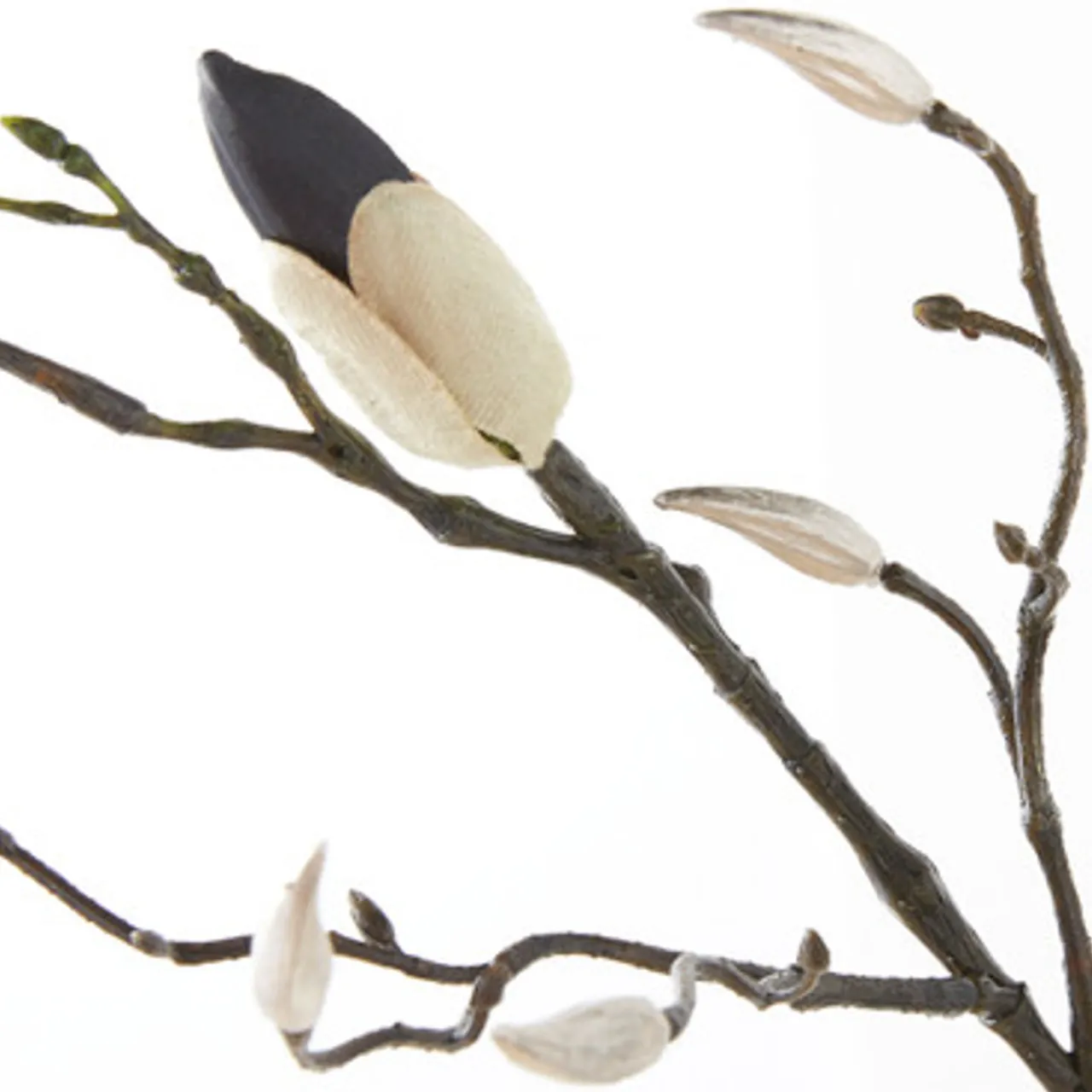 Z Gallerie Magnolia Spray - Set of 3> Home Decor | Décor Sale