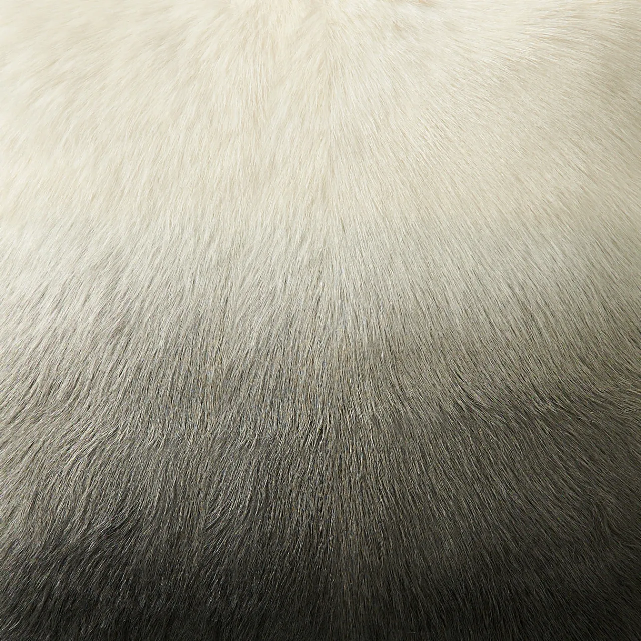 Z Gallerie Ombre Fur Pillow 22"> Textile Sale | New Pillows