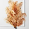 Z Gallerie Ostrich Spray - Set of 3> Home Decor | Décor Sale