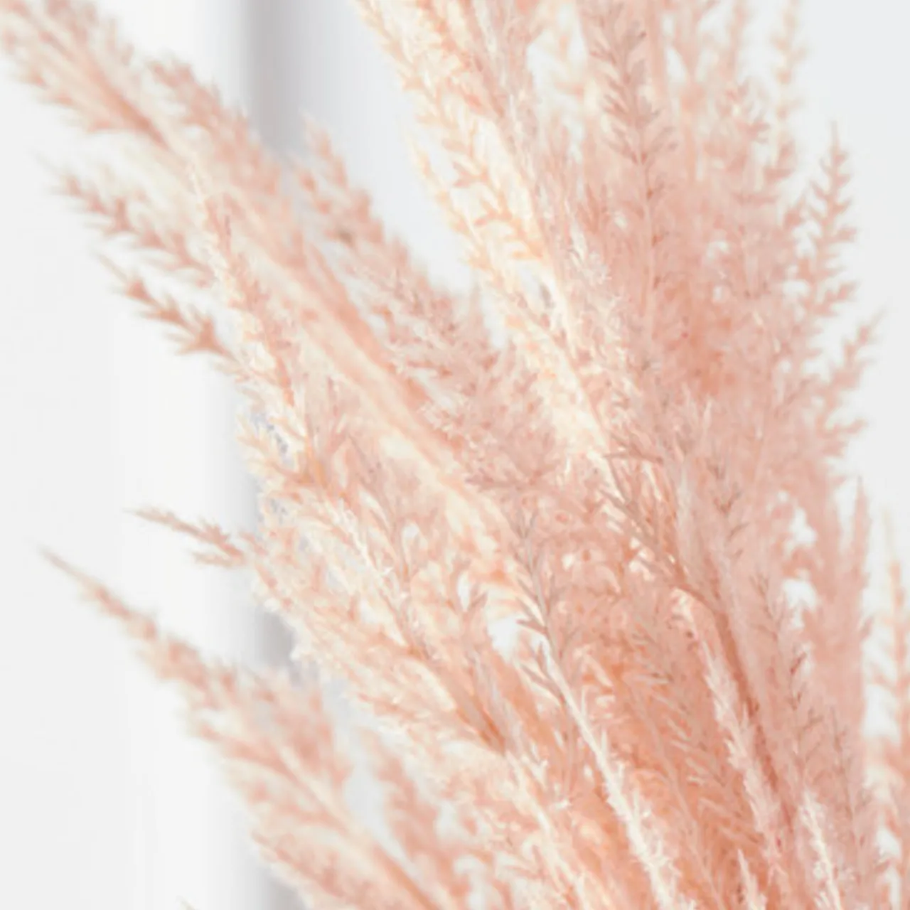 Z Gallerie Pampas Grass - Set of 3> Home Decor | Floral