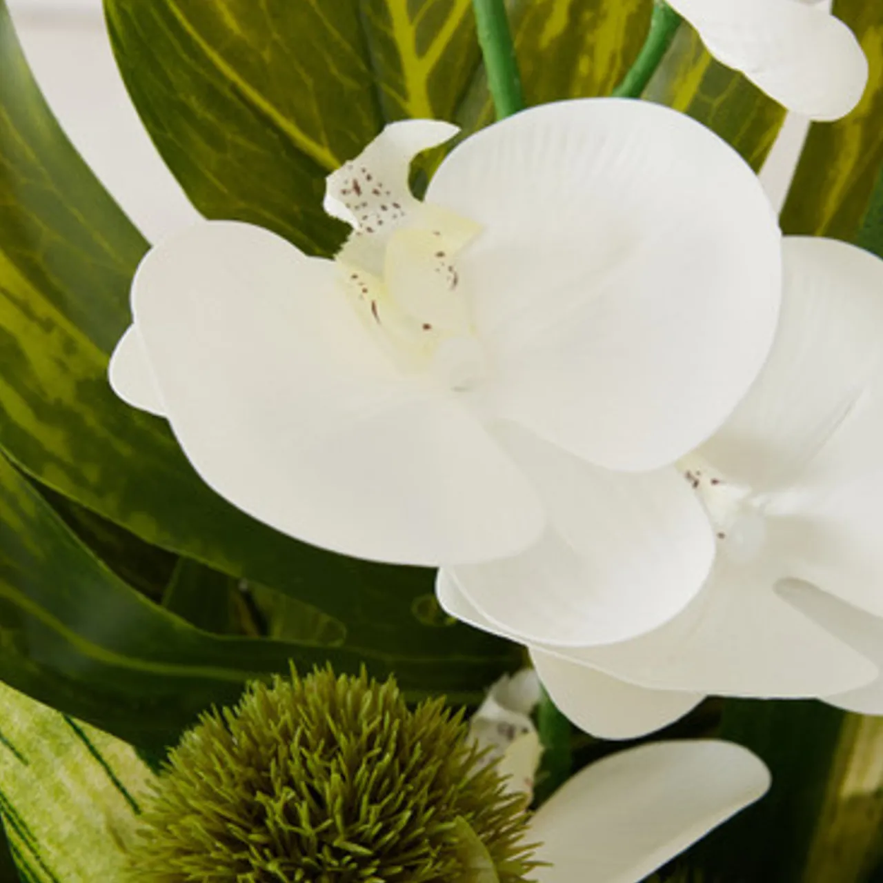 Z Gallerie Phalaenopsis Leaf In Glass> Home Decor | Décor Sale