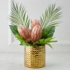Z Gallerie Protea In Pot - Blush> Home Decor | Décor Sale