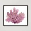 Z Gallerie Purple Seafan> Framed Art | Canvas