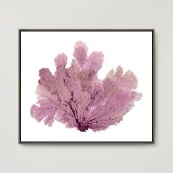 Z Gallerie Purple Seafan> Framed Art | Canvas