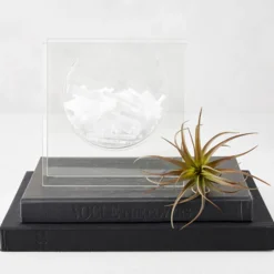 Z Gallerie Selenite Fragments> Home Decor | Tabletop Sale